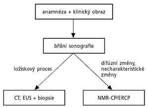 Diagnostické schéma