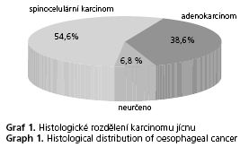 CSGH 2/2008